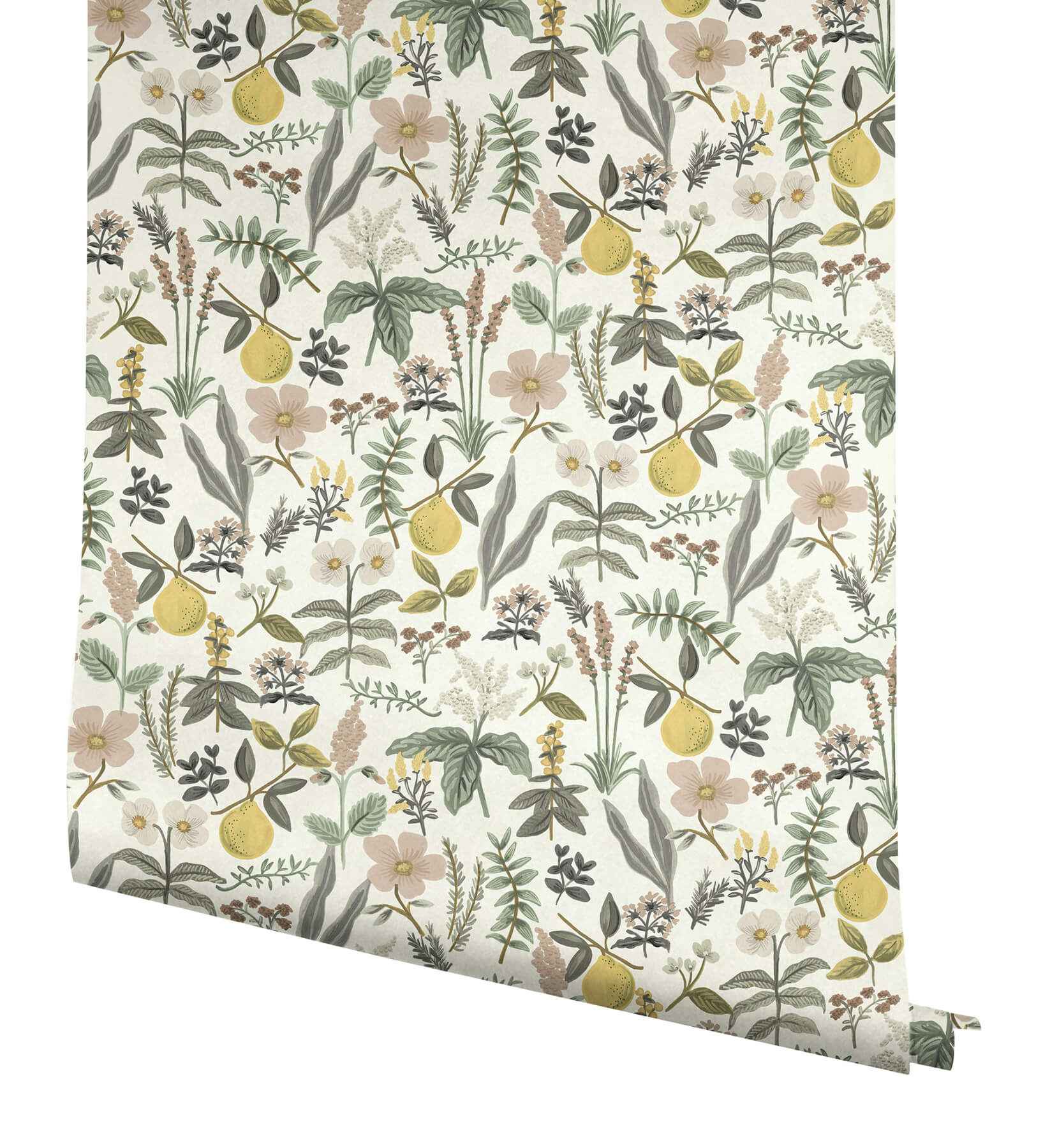 Herb Garden Cream Botanical Premium Peel + Stick Wallpaper - York Wallcoverings - PSW1678RL - York Wallcoverings Wallpaper