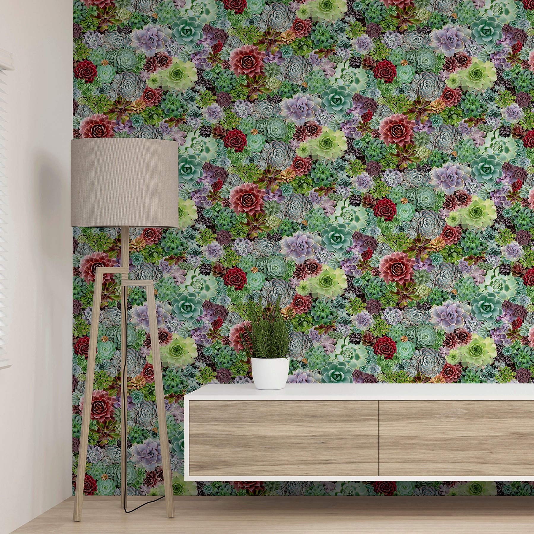 rhea-multicolor-succulents-wallpaper-york-wallcoverings-ah259402 - York Wallcoverings Wallpaper