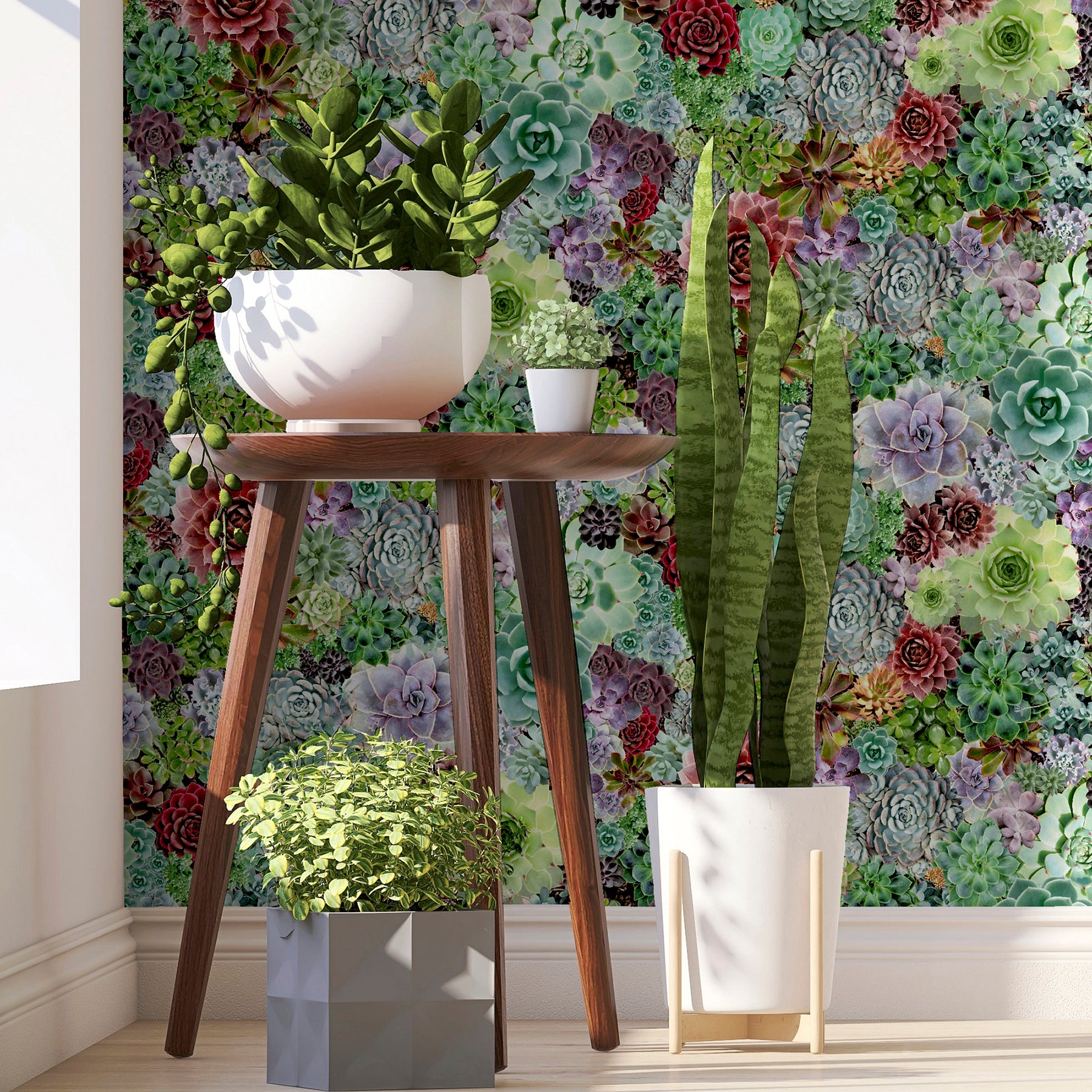 rhea-multicolor-succulents-wallpaper-york-wallcoverings-ah259402 - York Wallcoverings Wallpaper