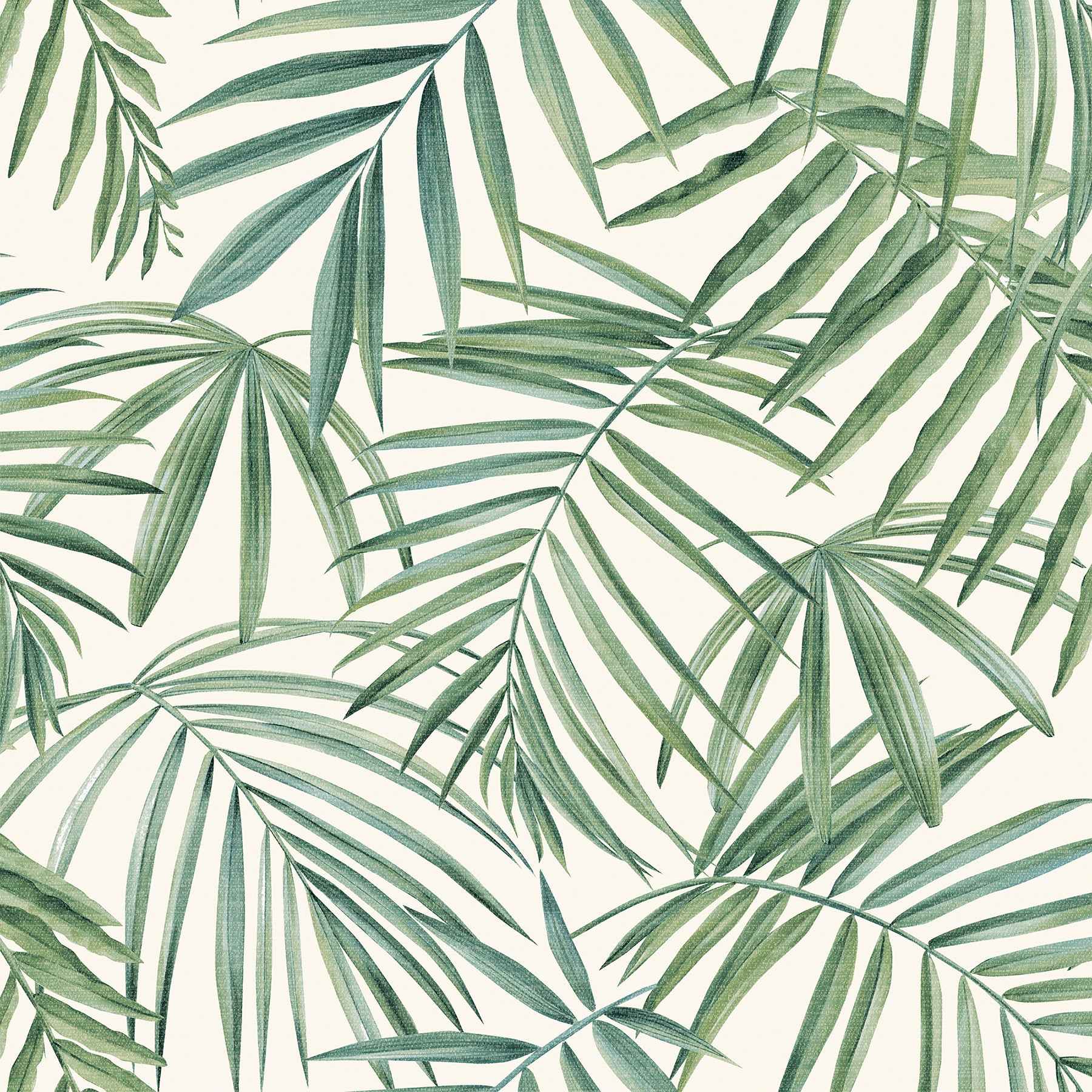 Juan Green Palm Leaves Wallpaper - York Wallcoverings - AH923909 - York Wallcoverings Wallpaper