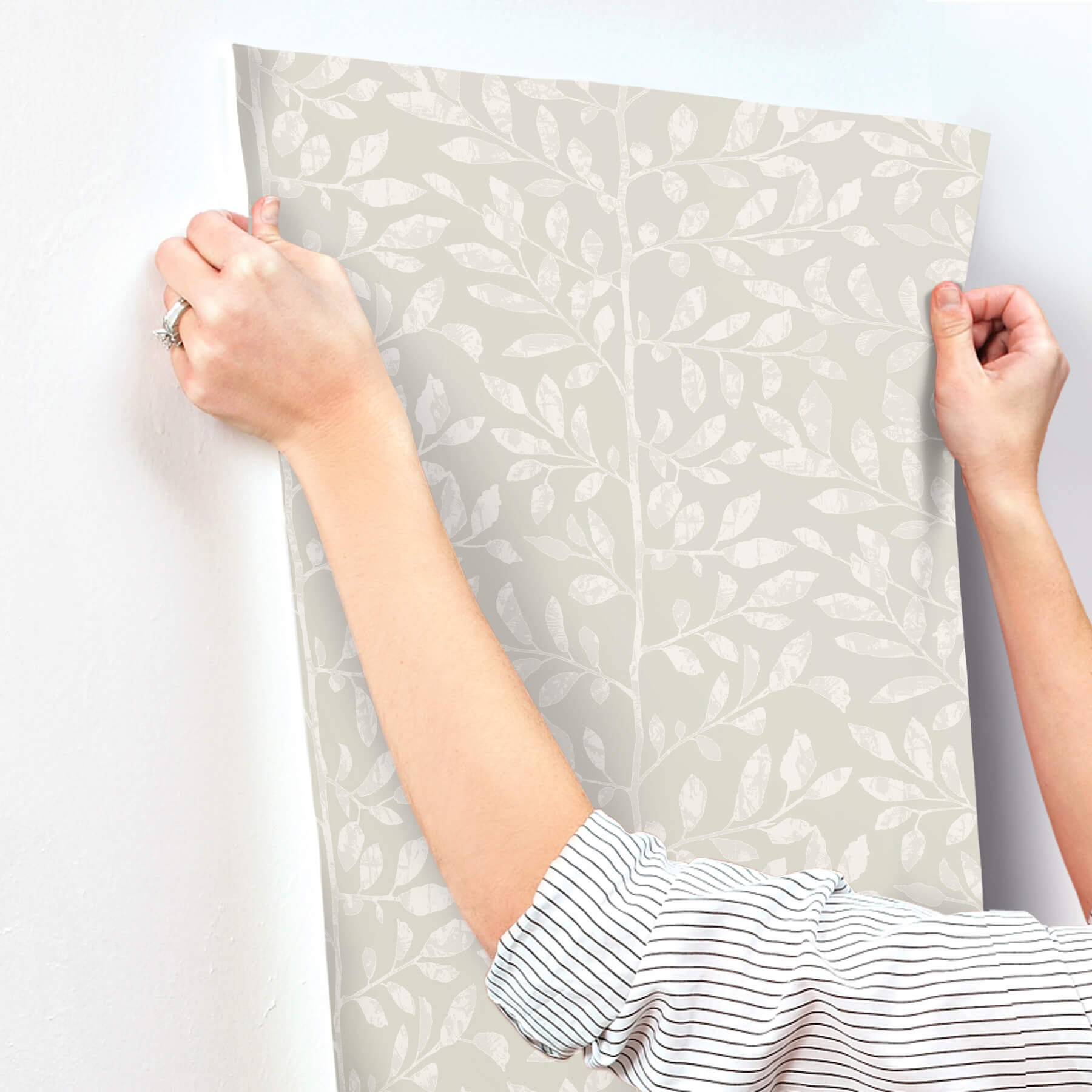 sagecrest-light-grey-sapling-wallpaper-york-wallcoverings-4177-83307 - York Wallcoverings Wallpaper