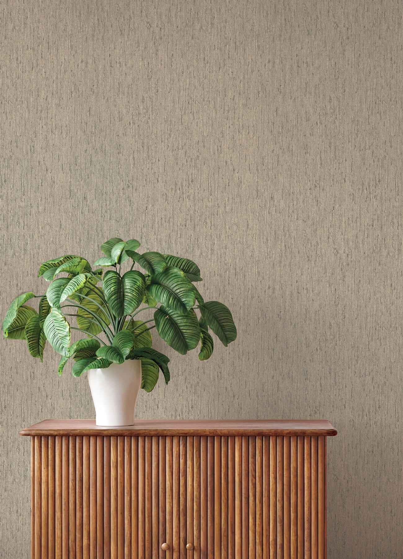 Roison Dove Birch Bark Wallpaper - York Wallcoverings - 4202-571035 - York Wallcoverings Wallpaper