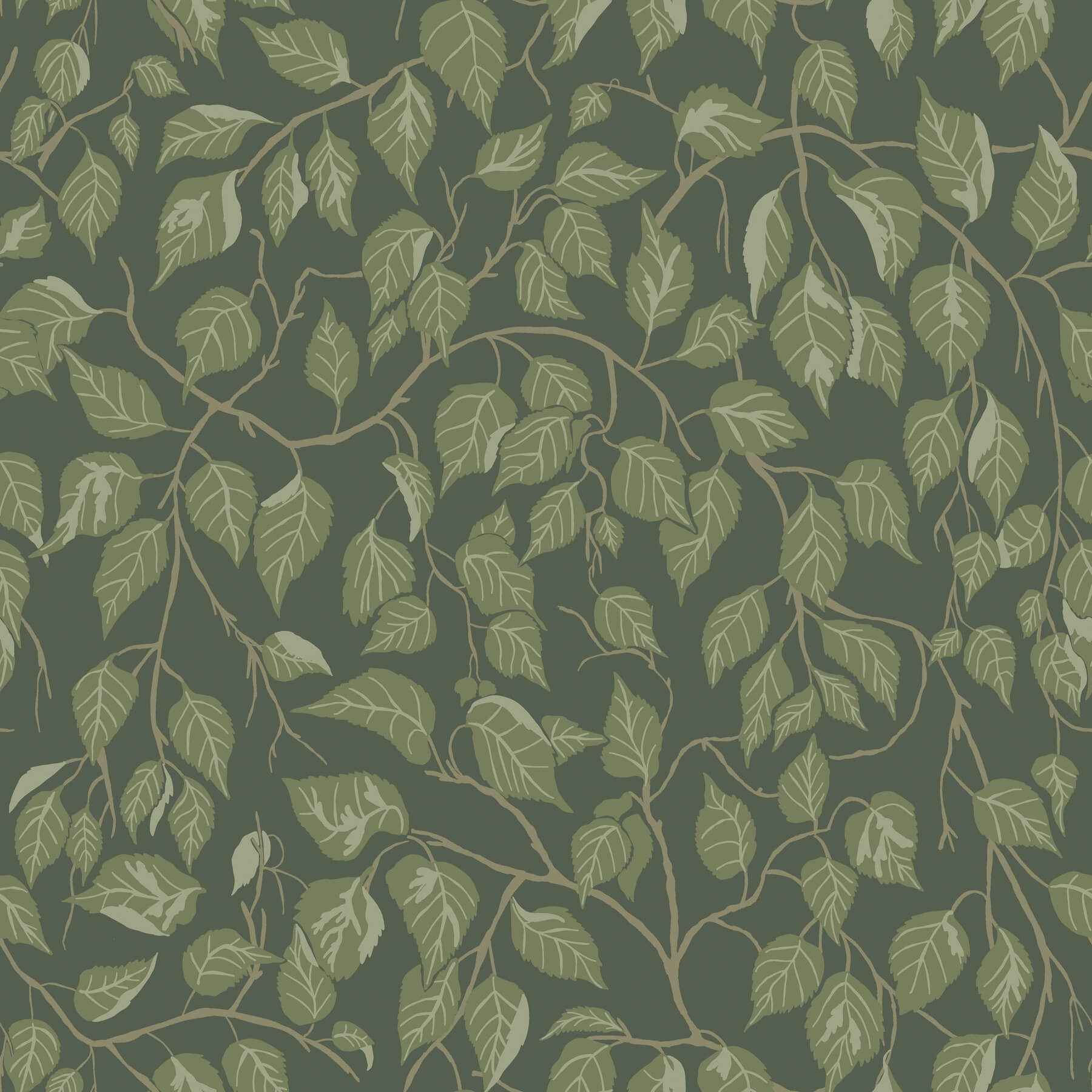Hängbjörk Evergreen Vine Wallpaper - York Wallcoverings - 4201-20108 - York Wallcoverings Wallpaper