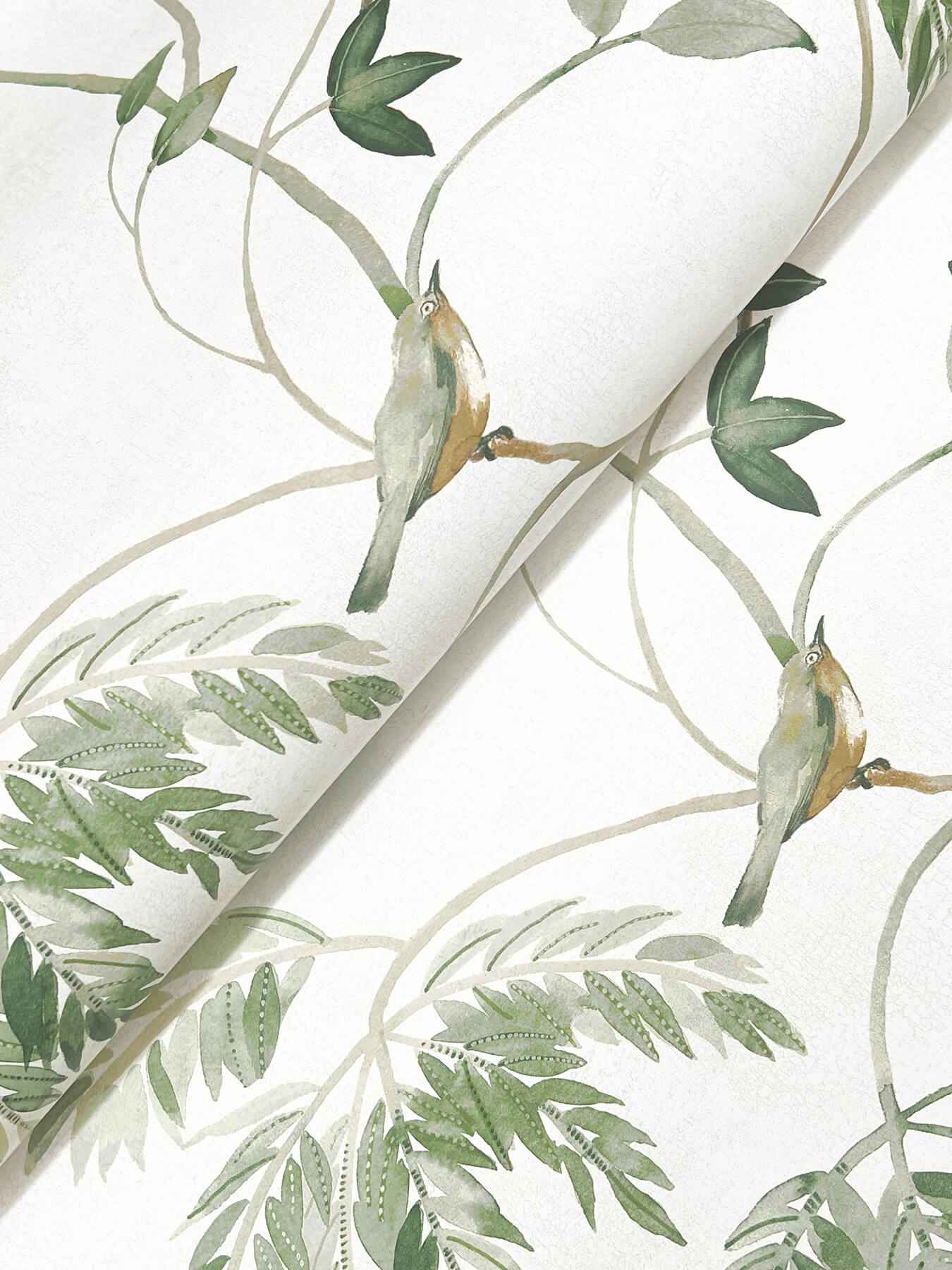 Cillian Dark Green Botanical Bird Trail Wallpaper - York Wallcoverings - LL3251 - York Wallcoverings Wallpaper