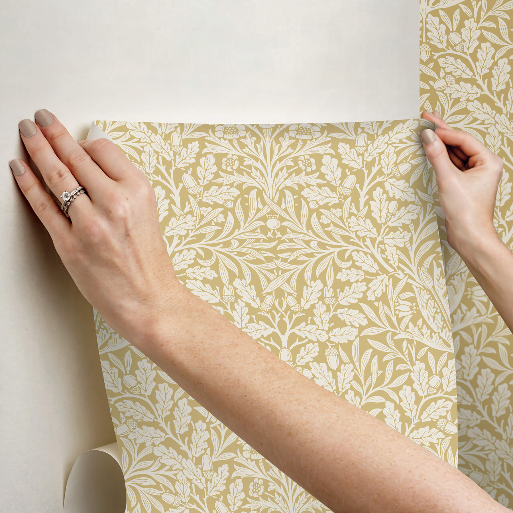 acorn-cowslip-peel-and-stick-wallpaper-york-wallcoverings-mcs6588 - York Wallcoverings Wallpaper