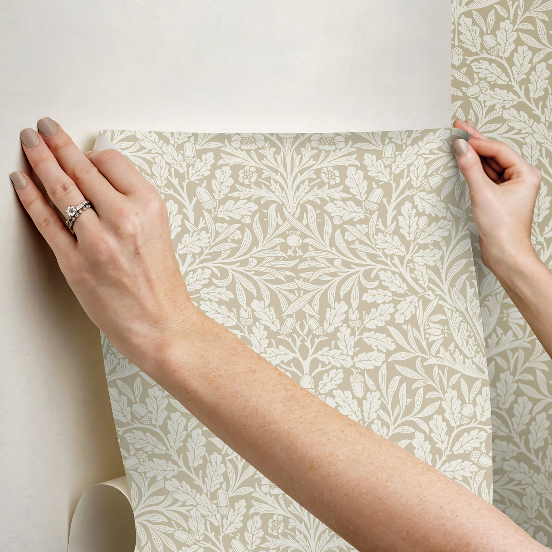 acorn-wheat-peel-and-stick-wallpaper-york-wallcoverings-mcs6589 - York Wallcoverings Wallpaper