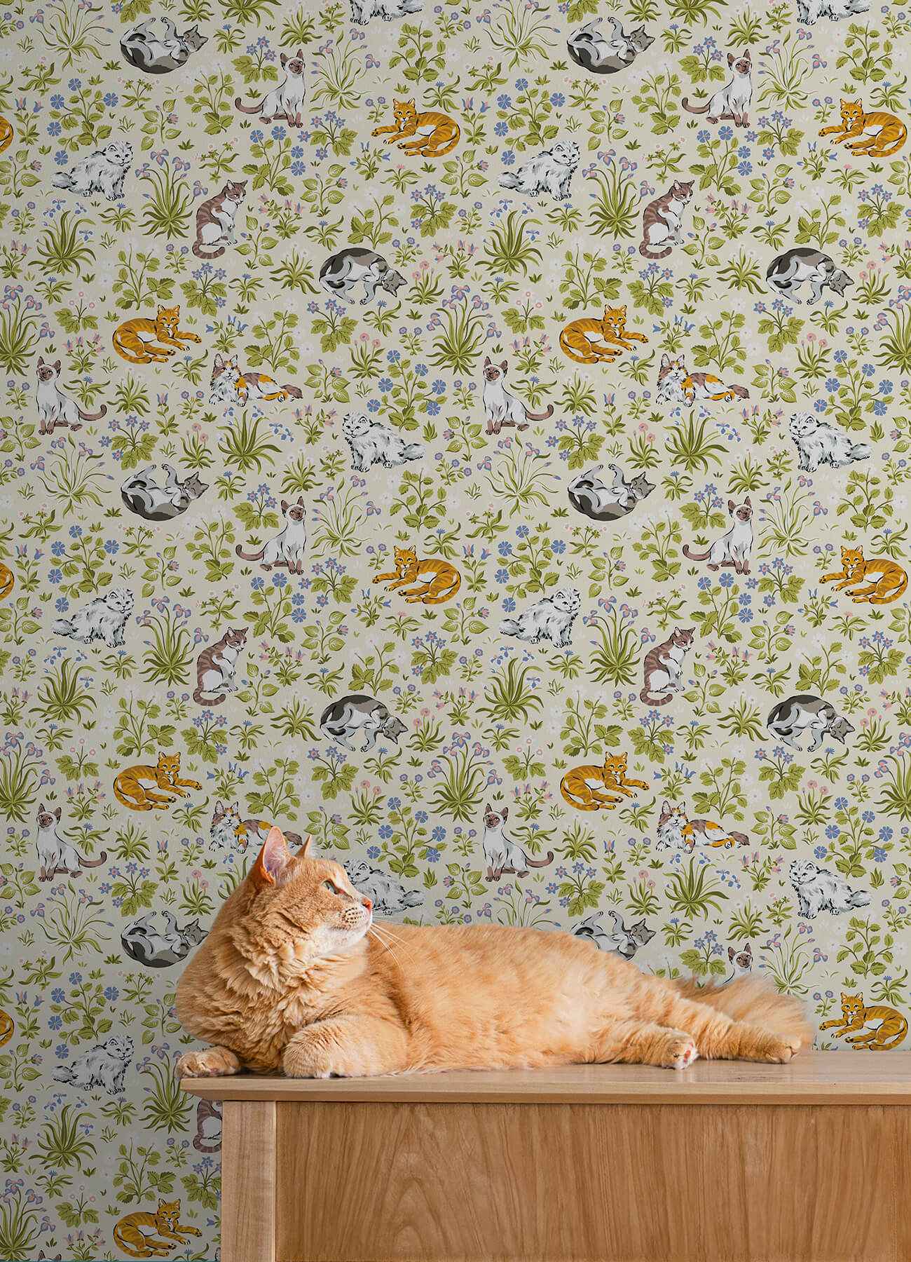 Must Love Cats Linen Peel and Stick Wallpaper - York Wallcoverings - PFS6568 - York Wallcoverings Wallpaper