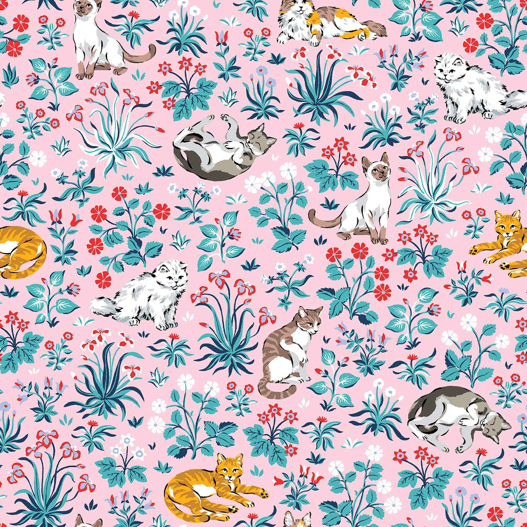 Must Love Cats Pink Peel and Stick Wallpaper - York Wallcoverings - PFS6569 - York Wallcoverings Wallpaper