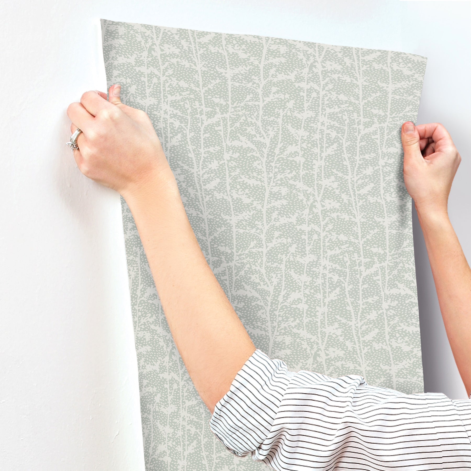 layton-sage-climbing-vines-wallpaper-york-wallcoverings-4197-84000 - York Wallcoverings Wallpaper