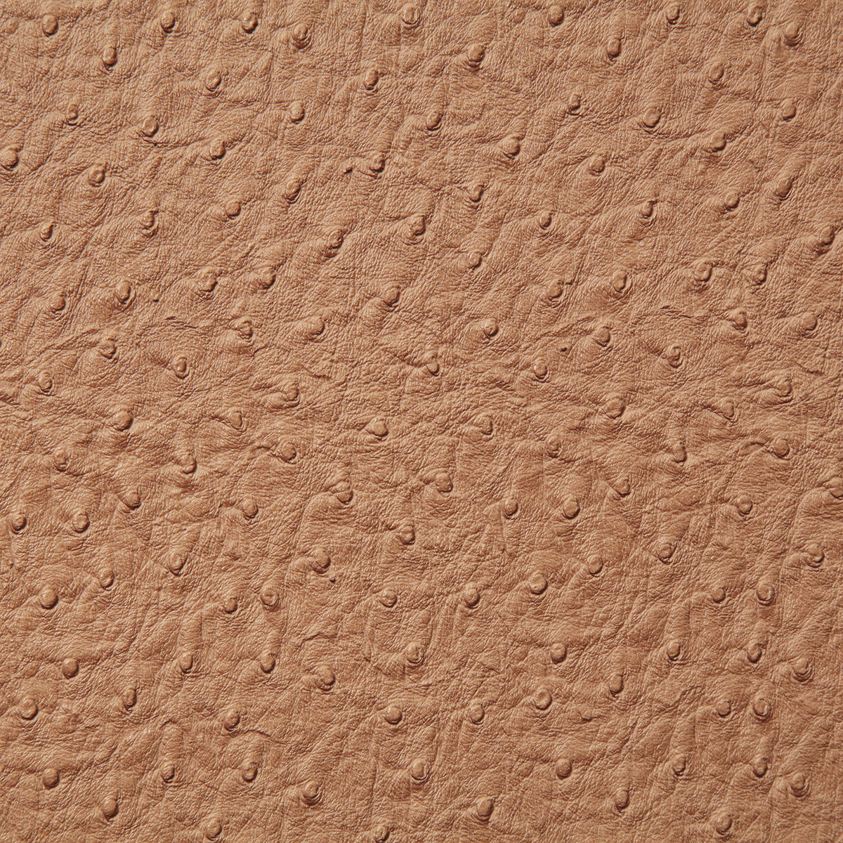 1008-micah-tan-pindler - Pindler Fabric