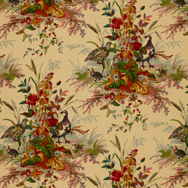 QUAIL-MEADOW-SUMMER-SCHUMACHER-1106032