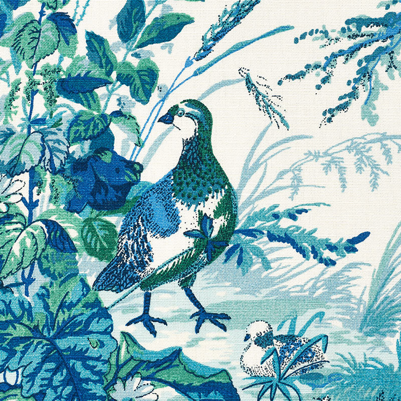 QUAIL-MEADOW-PEACOCK-SCHUMACHER-1106044