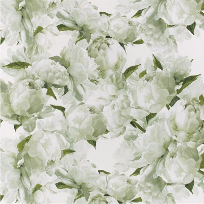 peonia-designers-guild-pdg1094-03