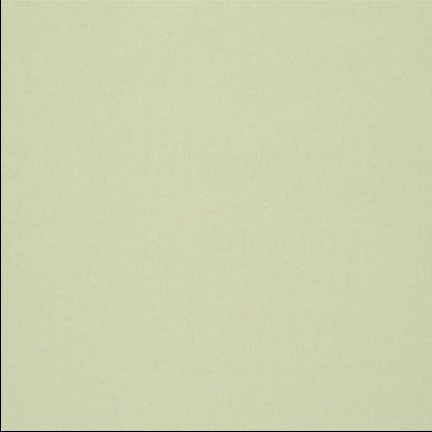 aviano-designers-guild-f1911-05