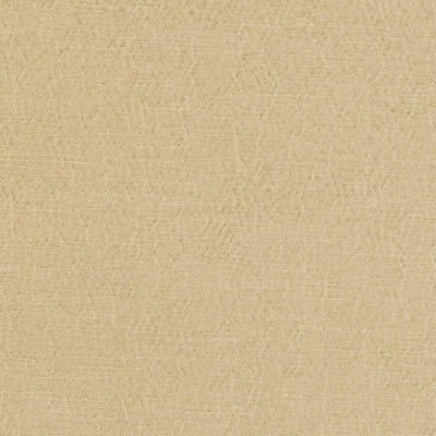 anshu-designers-guild-fdg2896-23