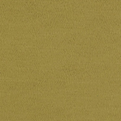 anshu-designers-guild-fdg2896-38