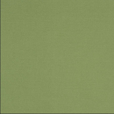 aviano-designers-guild-f1911-20
