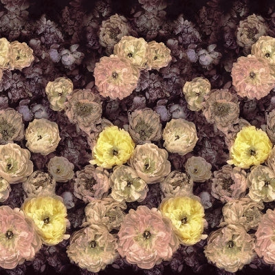 le-poeme-de-fleurs-designers-guild-pdg1107-01