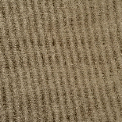 tarazona-driftwood-designers-guild-fdg2919-40