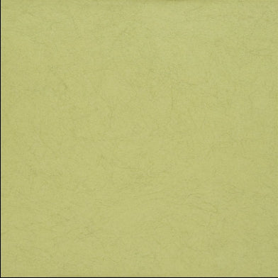 ernani-designers-guild-p502-55