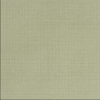 tolmer-designers-guild-p528-02
