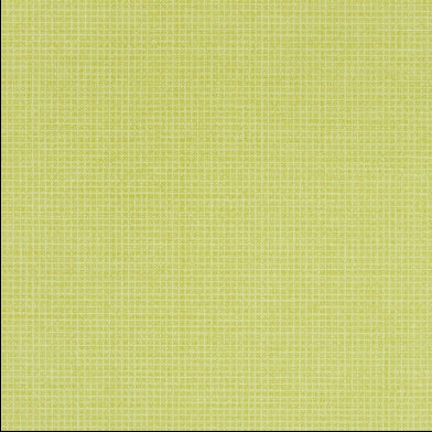 tolmer-designers-guild-p528-13