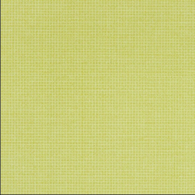 tolmer-designers-guild-p528-13