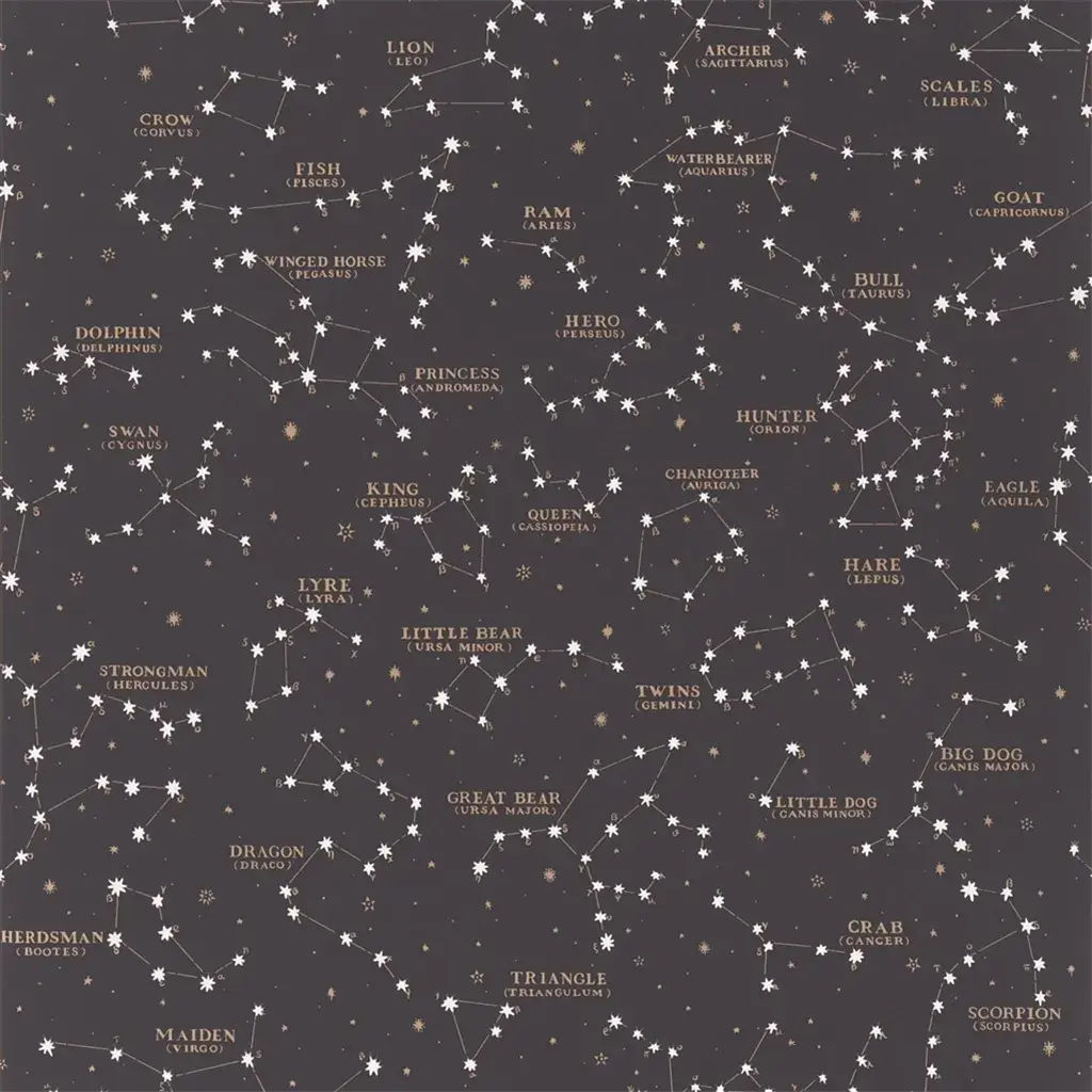 PRL5041/02 Starry Sky Black by Ralph Lauren - The WorkRm