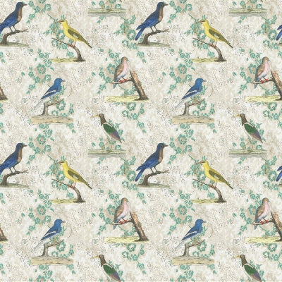 wallpaper-birds-john-derian-fjd6046-01