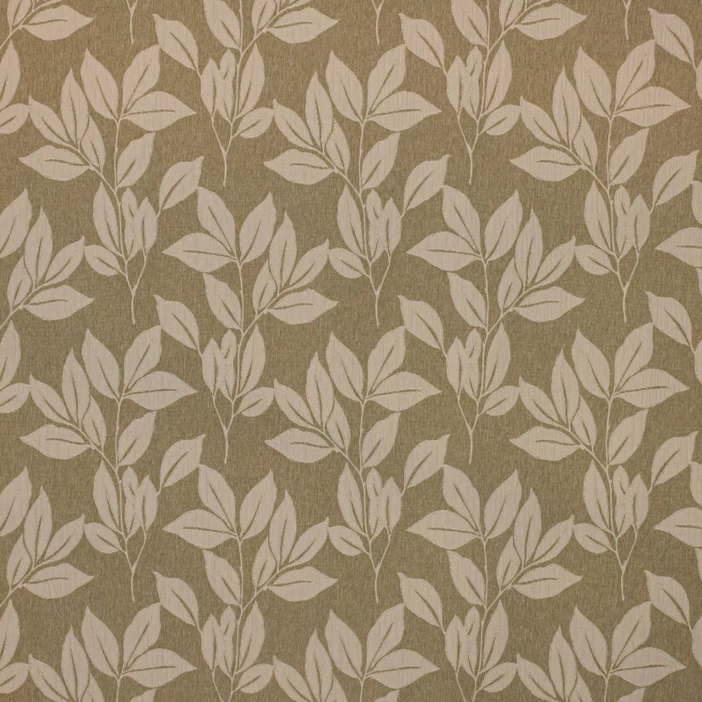 Grove Park â Thyme