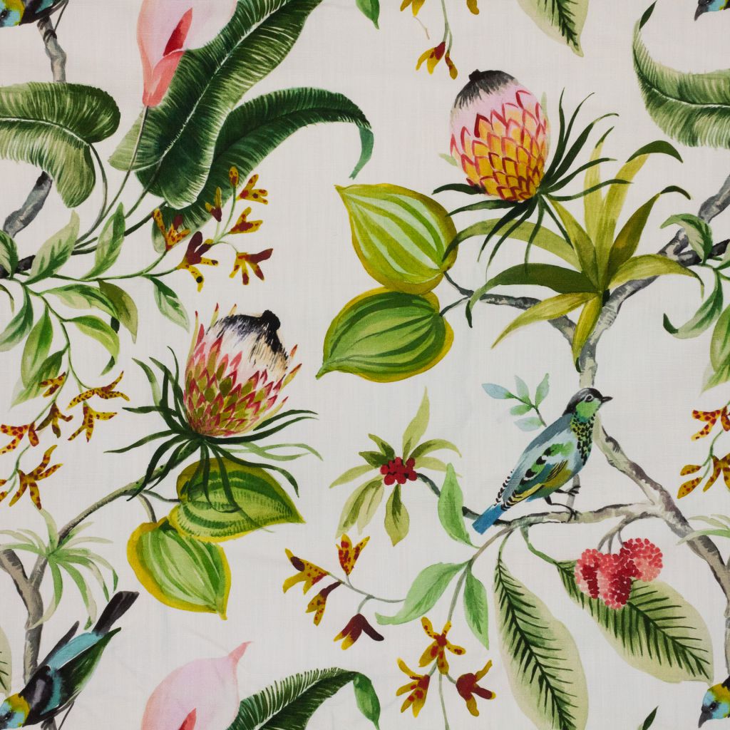 Protea Garden â Leaf