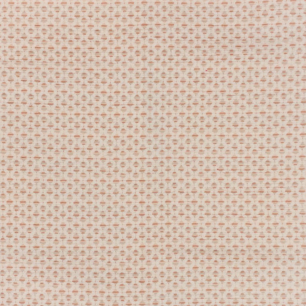 Dream Catcher – Shell