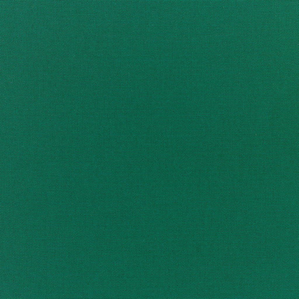 Canvas - SunbrellaÂ® â Forest Green 5446-0000