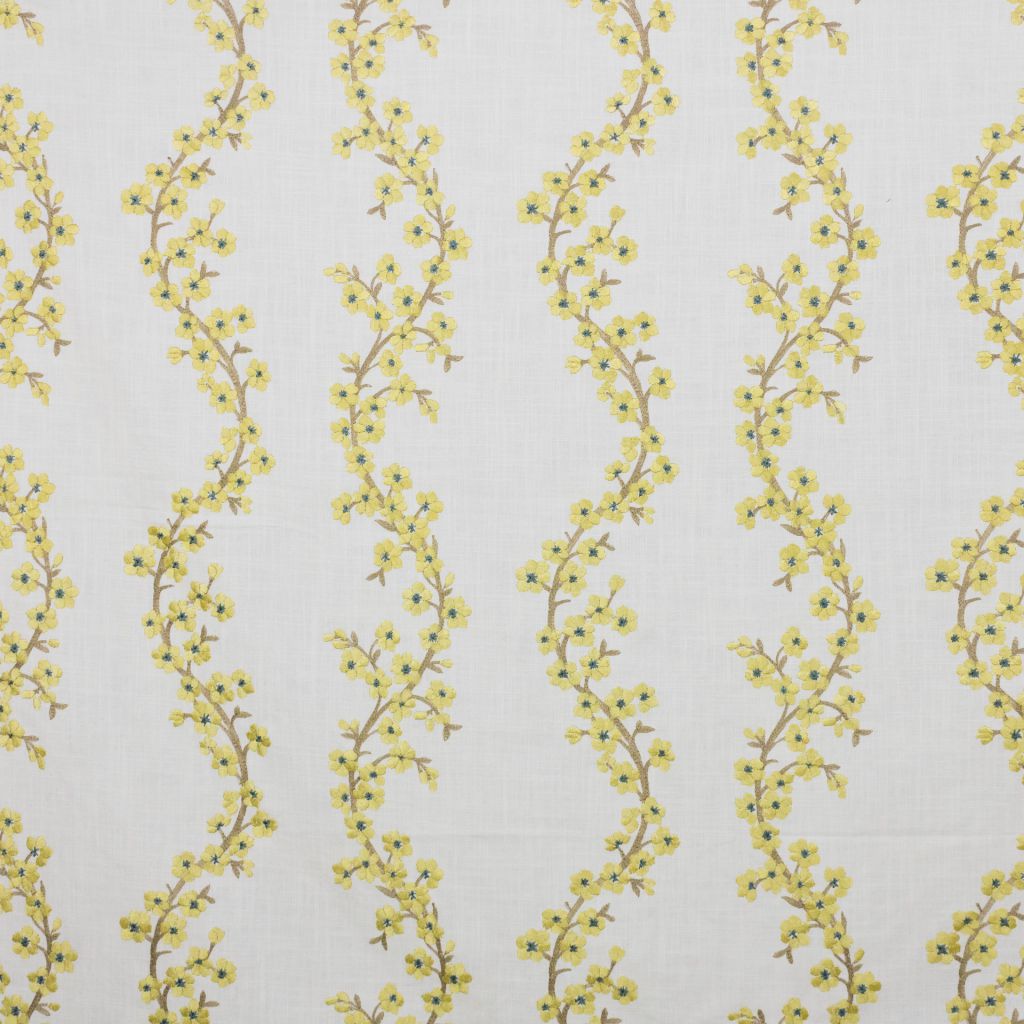 Cherry Blossom â Butter