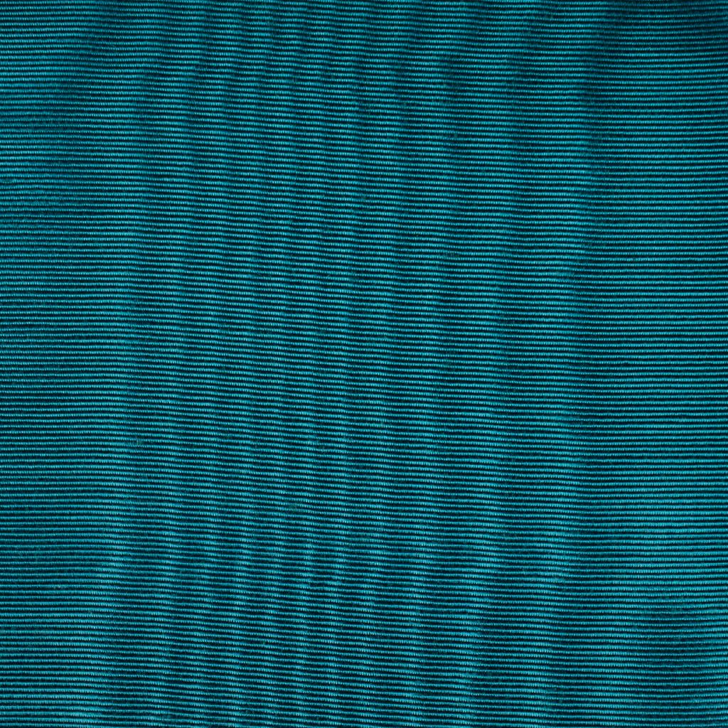 CROWN MOIRE â LAGOON - RM Coco Fabric