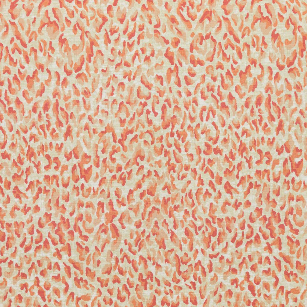 Jungle Boogie – Blush