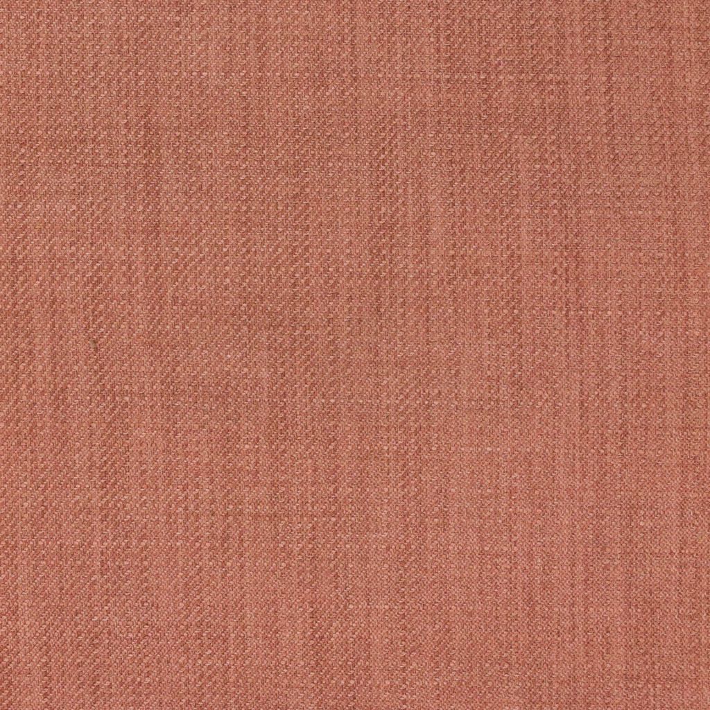 Sutton â Cotton Candy