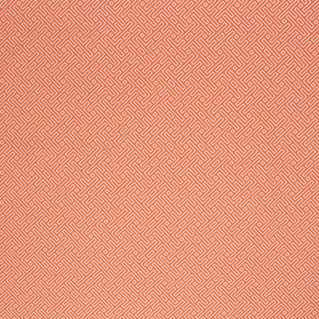 AMAZED – ORANGE - RM Coco Fabric