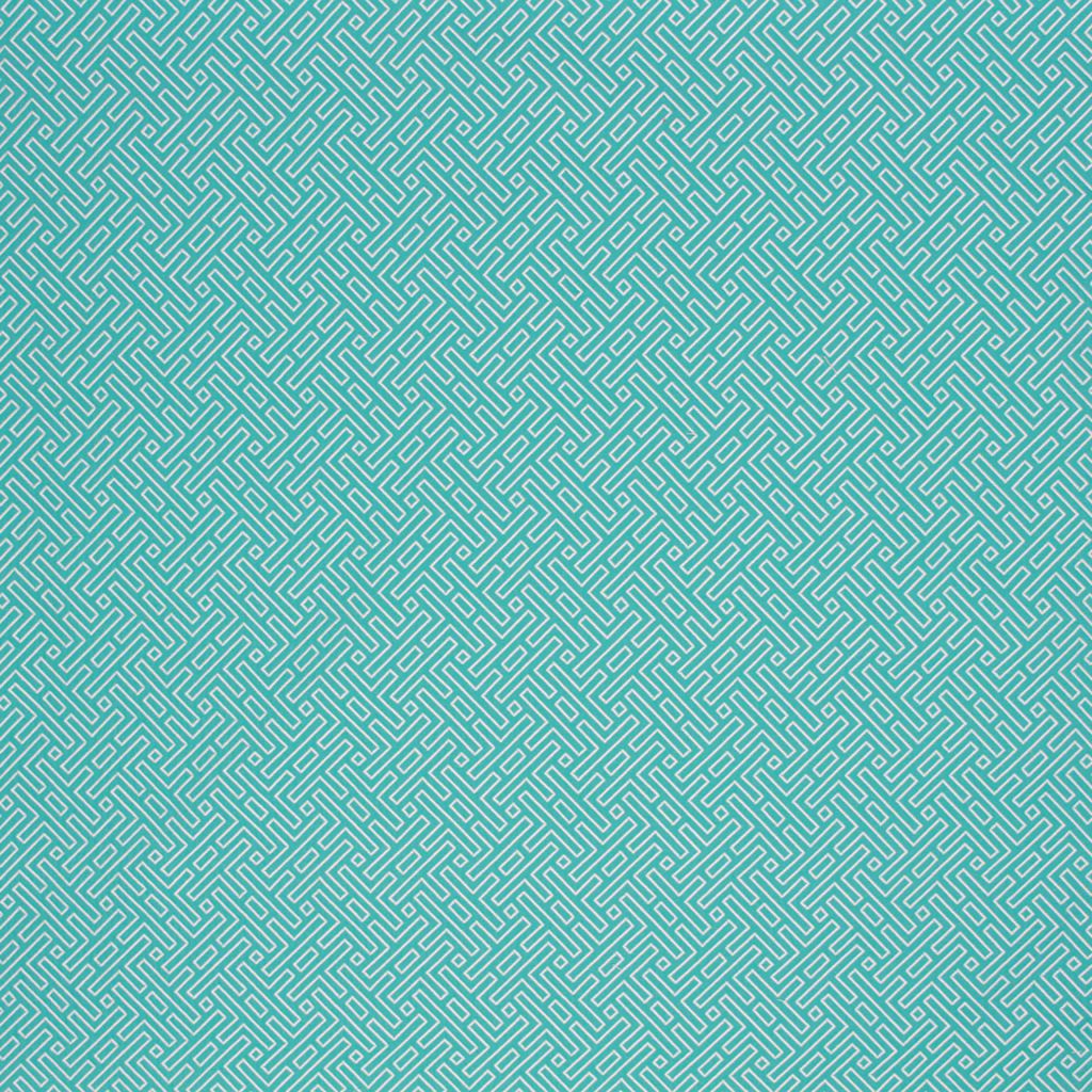 AMAZED – CARIBE - RM Coco Fabric