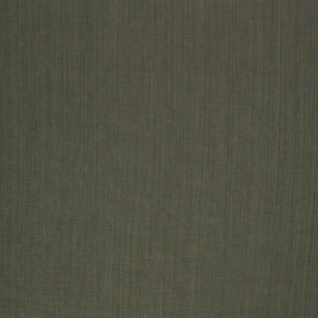 FAULTLINE – BASIL