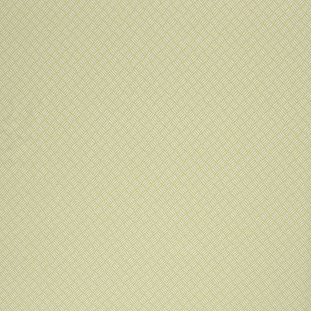 TISKET – LIME - RM Coco Fabric