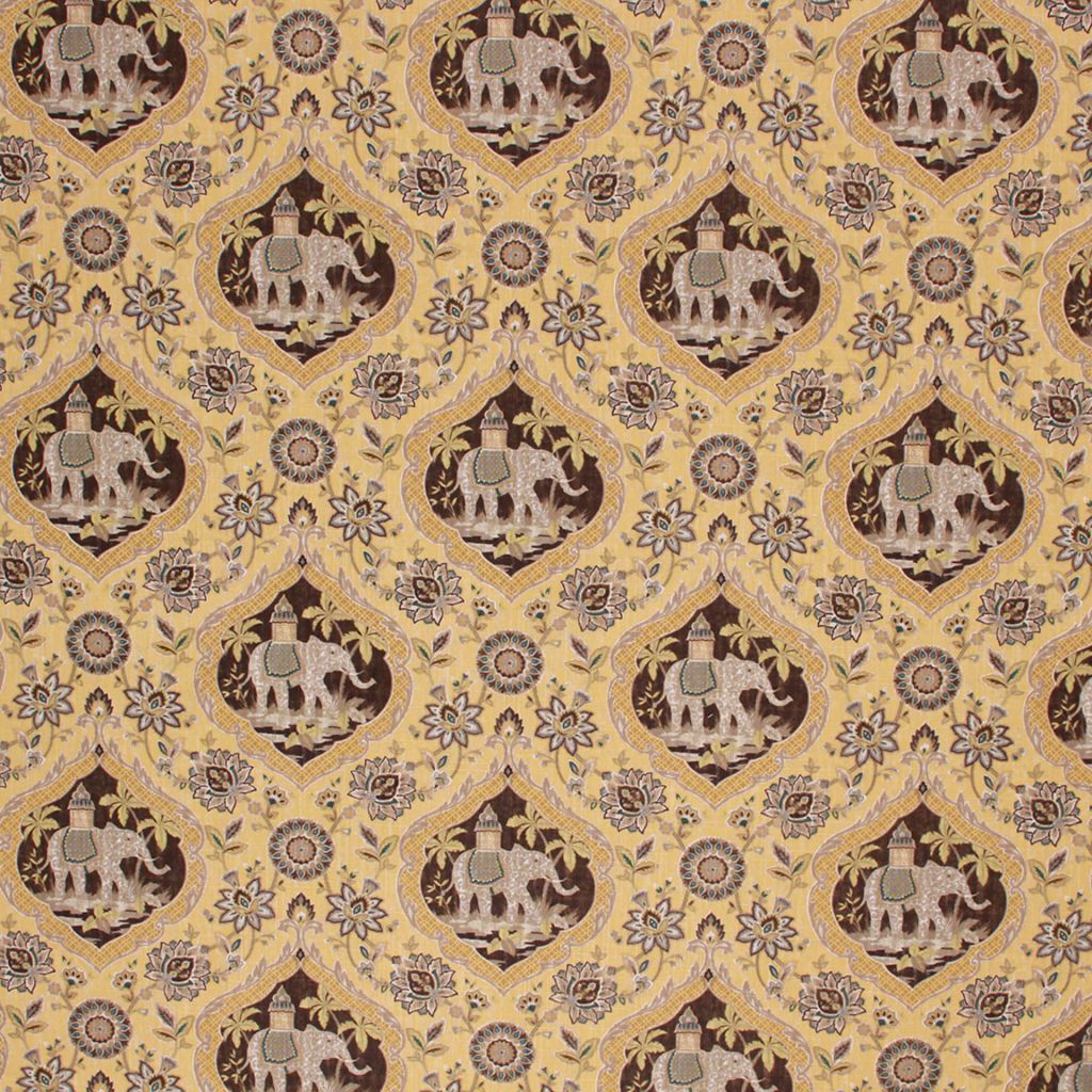 ELEPHANT TALES – MAIZE