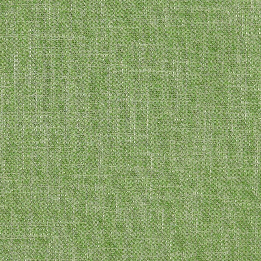 CHAS – FERN