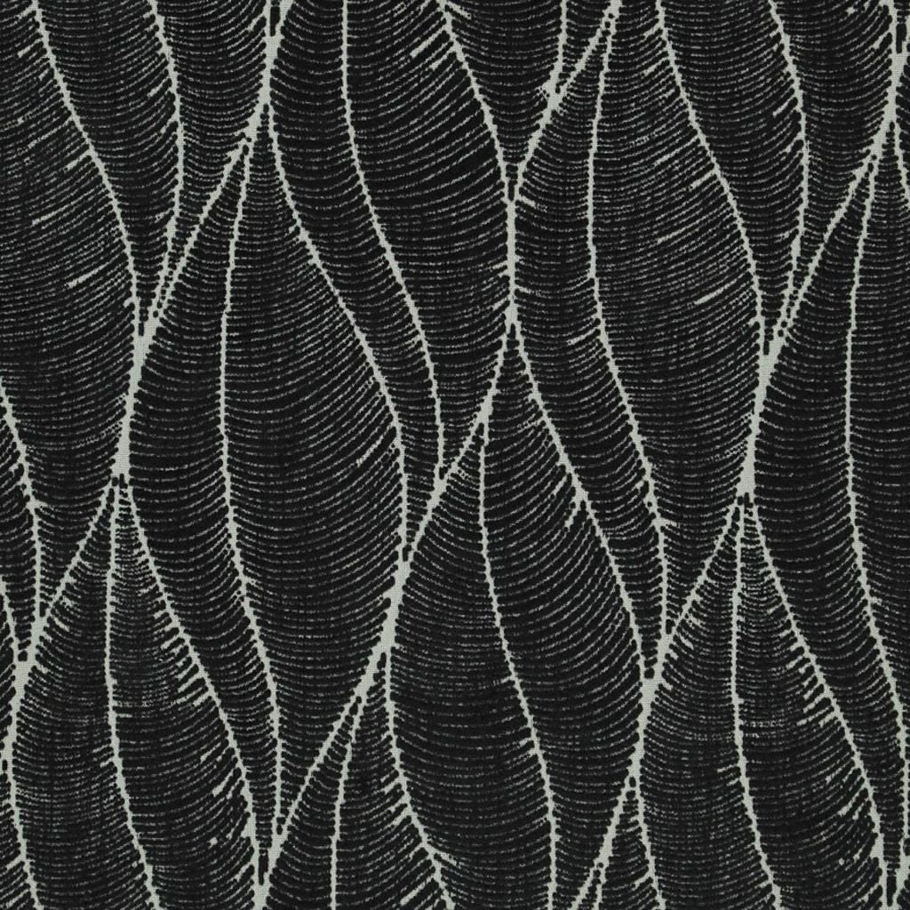 PATRIOT – ONYX