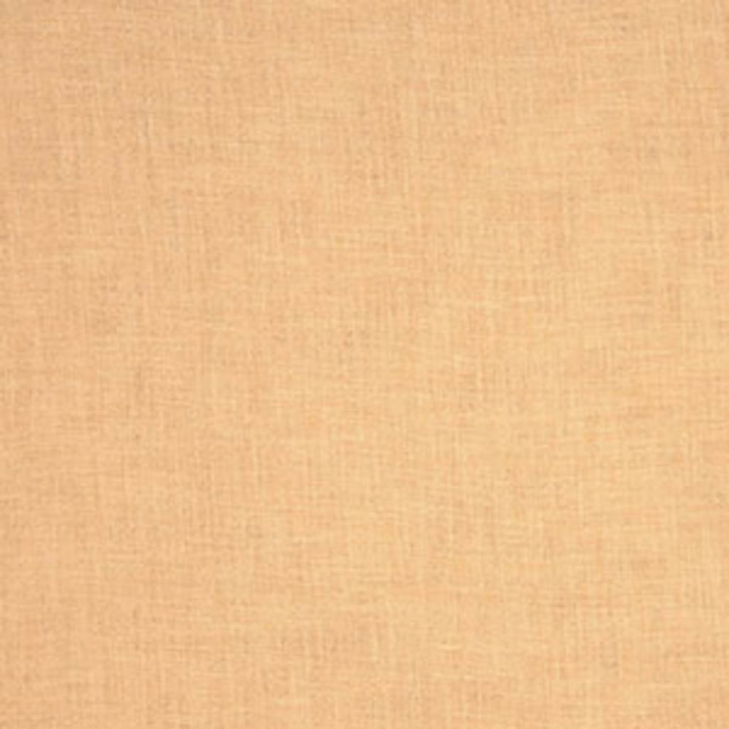 BARKER – PAPYRUS - RM Coco Fabric