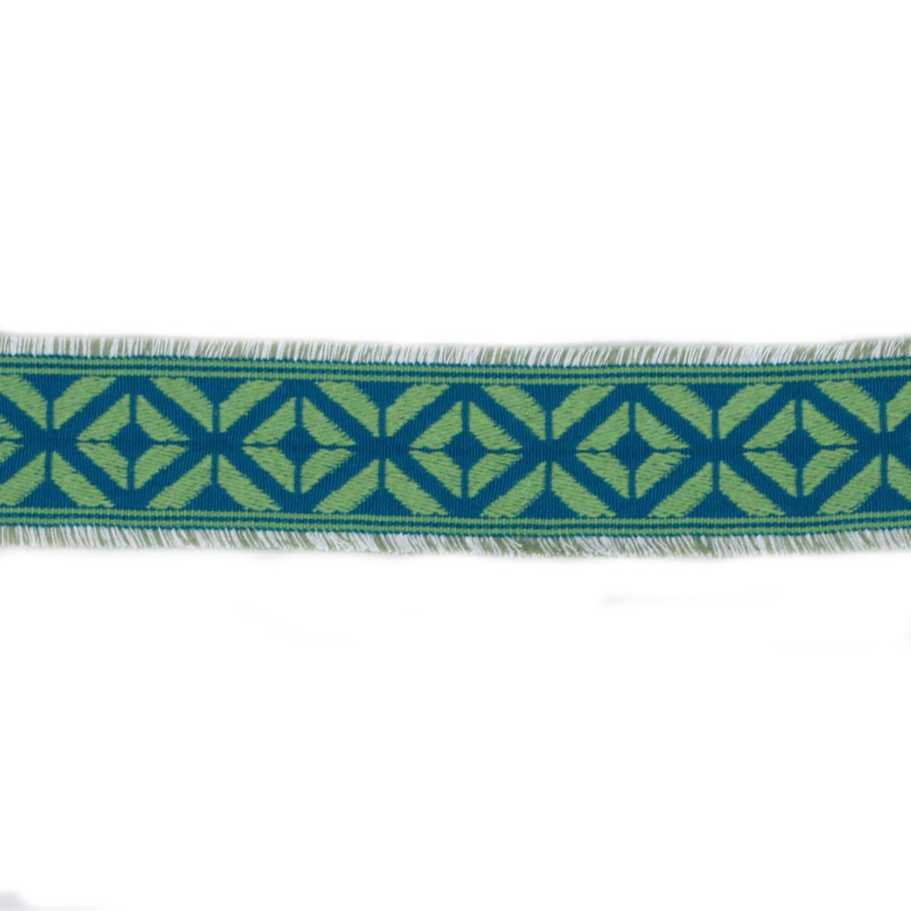 BD101 BORDER 2 3/8" â CITRUS - RM Coco Trim