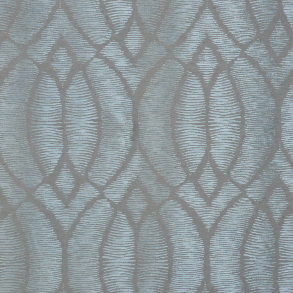 HECTOR – DRAGONFLY