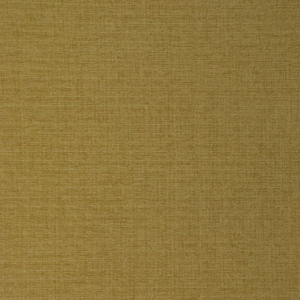 TYCOON – Cashew