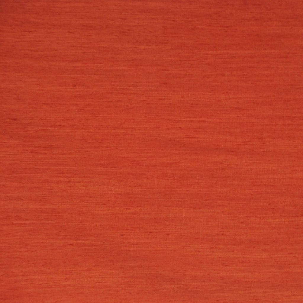 SALVATORE – Sunkist