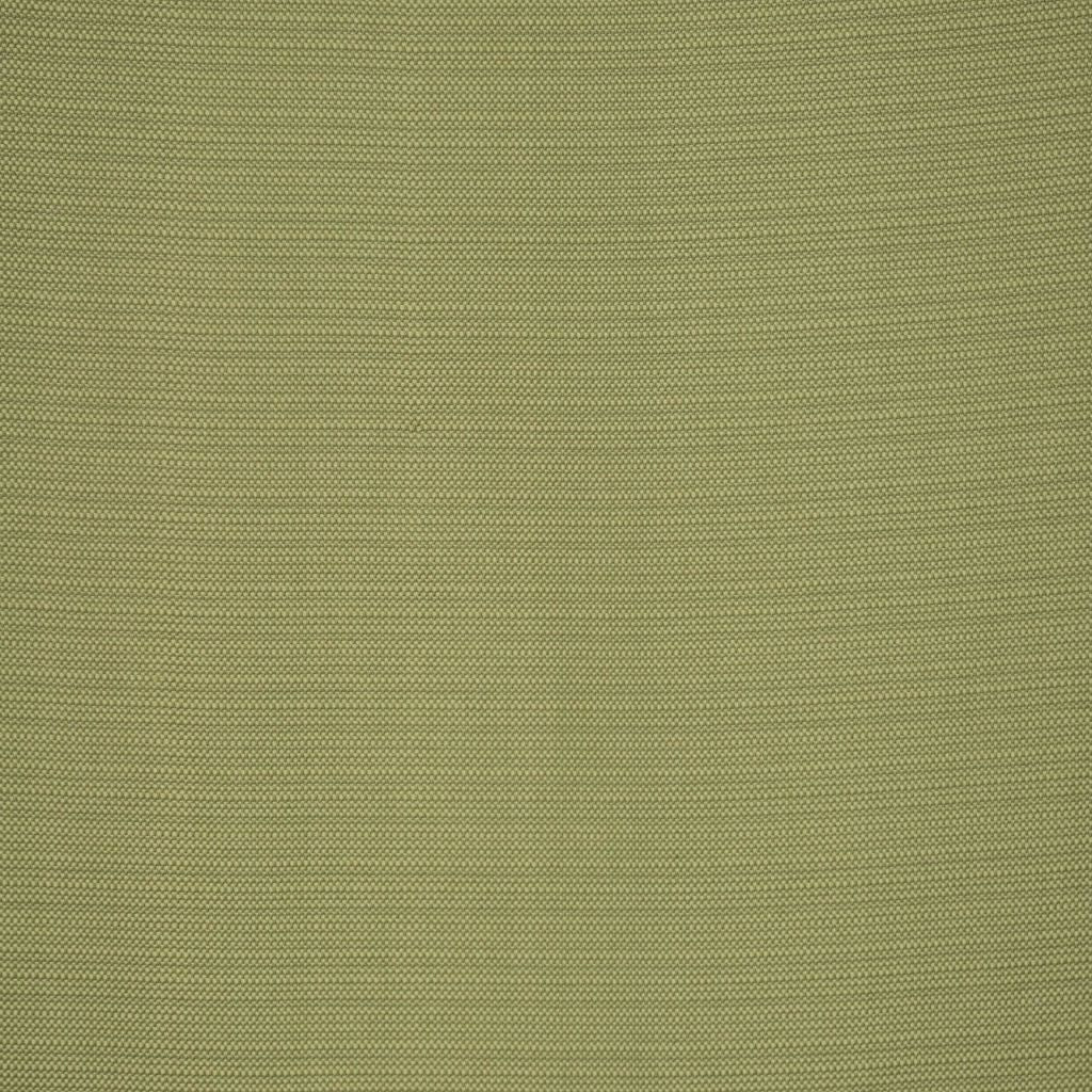 EQUUS – KIWI